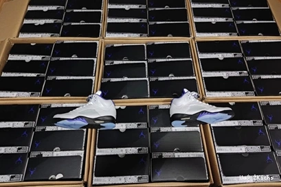 CONCORD 587 DD0587-141 Fashionable Air Jordan5 0815